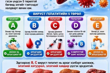 Вируст гепапит гэж юу вэ?