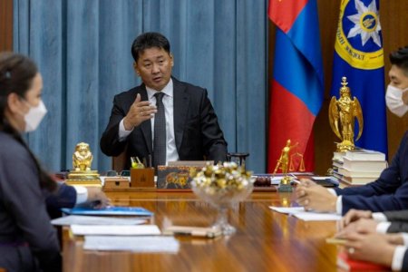 Монгол Улсын Ерөнхийлөгч Хилийн чанад дахь монголчуудын зөвлөлийн төлөөллийг хүлээн авч уулзав