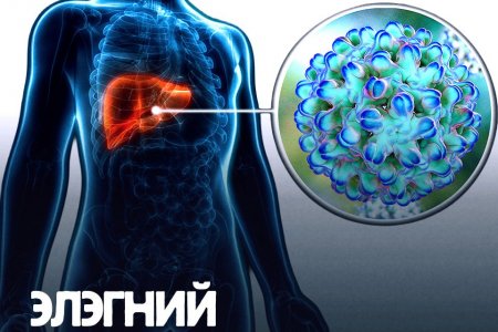 Элэгний D вирусийн аюул