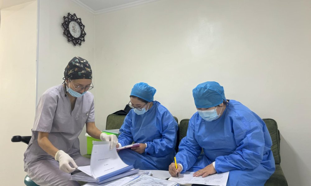 УРЬДЧИЛАН СЭРГИЙЛЭХ ХЯНАЛТ ШАЛГАЛТ ХИЙЖ БАЙНА.