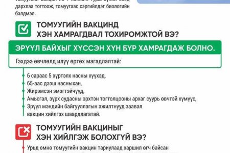 Улирлын томуугийн эсрэг вакцинаар цэцэрлэгийн 87.130 хүүхдийг дархлаажуулна