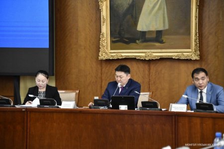 Соёлын сайдын урсгал зардлыг 100.0 сая төгрөгөөр бууруулах саналыг дэмжив