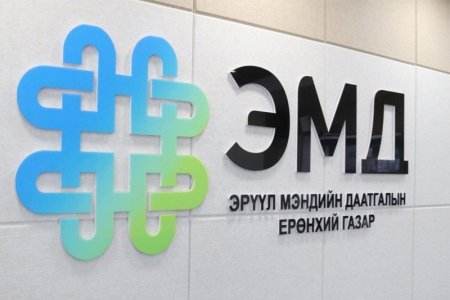 Шимтгэлийг нь төр хариуцан төлөх даатгуулагчид хэн хамаардаг вэ