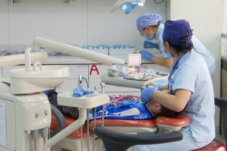 ЭМЯ: ЭМДС-ийн санхүүжилтээр 17 хүртэлх насныхны шүдэнд фторт түрхлэг түрхэх ажил хийгдэнэ