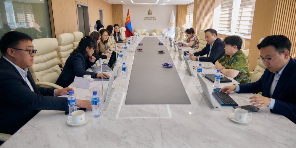 “Аймаг, сумын бүсчилсэн ногоон хөгжлийн хөрөнгө оруулалтын хөтөлбөр”-ийн хэрэгжилт эрчимжиж байна
