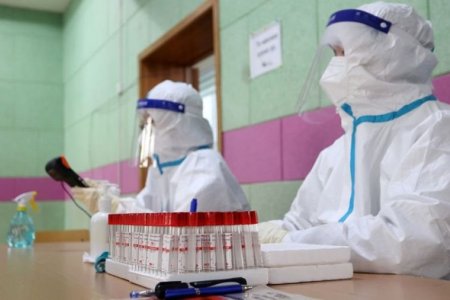 ЭМЯ: 1206 хүн халдвар авсан нь батлагдаж, 2 хүн нас баржээ