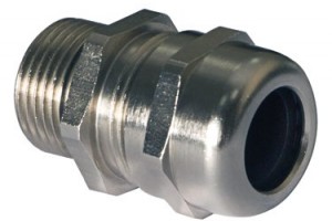 BCG Series