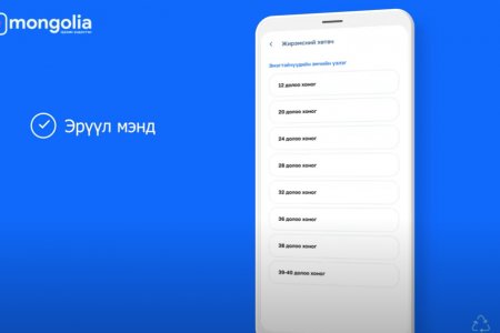 4.Жирэмсэн эмэгтэйн хяналтын хөтөч цахим боллоо