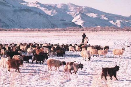  Улсын аварга малчин, тариаланч хамт олныг тодрууллаа