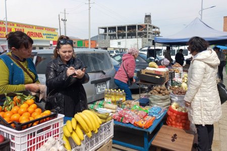 УРЬДЧИЛАН СЭРГИЙЛЭХ ХЯНАЛТ ШАЛГАЛТ ХИЙЛЭЭ.