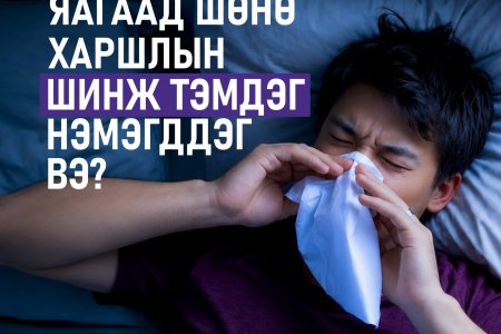 Оройдоо хамар битүүрч, найтааж байна уу?