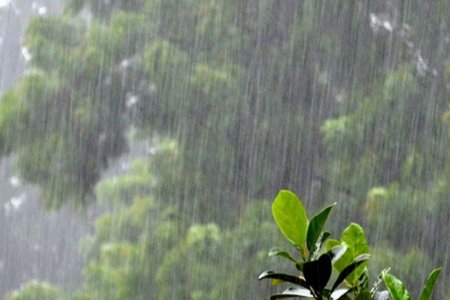 Ихэнх нутгаар үргэлжилсэн бороо орох тул үер, усны аюулаас сэрэмжтэй байхыг анхааруулж байна