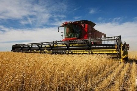 Улсын хэмжээнд тариалалт 90 орчим хувьтай үргэлжилж байна