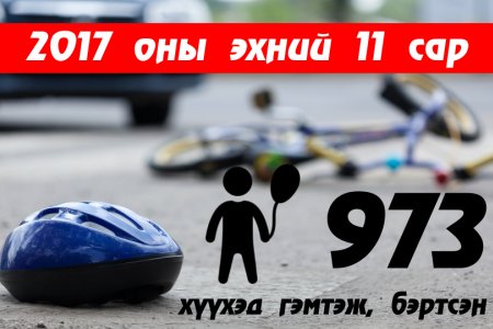 МАНАЙ УЛСАД НЭГ ЖИЛИЙН ХУГАЦААНД 1000 ГАРУЙ ХҮҮХЭД ЗАМ ТЭЭВРИЙН ОСОЛД ӨРТӨЖ БАЙНА
