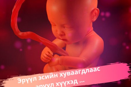 Г.ЧОЙЖАМЦ: УРГИЙН ГАЖ ХӨГЖЛӨӨС ХАМГИЙН АМАРХАН СЭРГИЙЛЖ БОЛОХ, ХАРЬЦАНГУЙ ҮР ДҮНТЭЙ АРГА БОЛ ФОЛИЙН ХҮЧИЛ ГЭДЭГТ ШИНЖЛЭХ УХААНЫХАН НЭГДСЭН