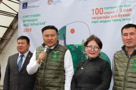 “Сургуулийн орчиндоо мод тарьцгаая-2019” үйл ажиллагааны нээлт боллоо