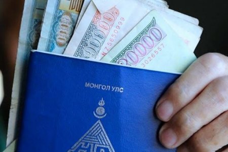 0-3 насны хүүхдээ харж байгаа эцэгт тэтгэмж олгох хүсэлтийг авч эхэллээ