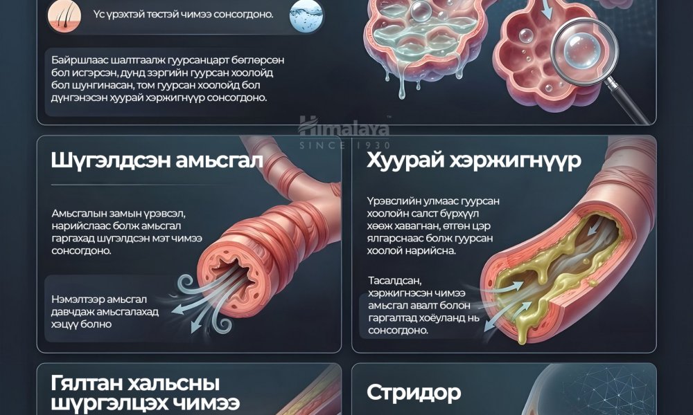 Уушгины эмгэг амьсгалууд 