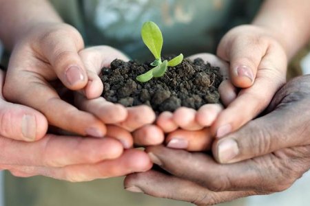 “Эрүүл хөрс-Эрүүл орчин” өртөөчилсөн өдөрлөгийг дүүрэг бүрт зохион байгуулна