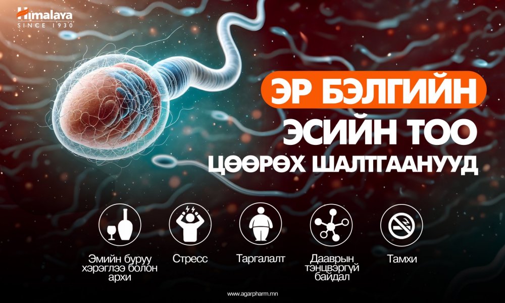Эр бэлгийн эсийн тоо яагаад цөөрдөг вэ?
