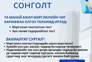 Ажил мэргэжлийн чиг баримжаа олгох сургалт зохион байгуулж байна. 