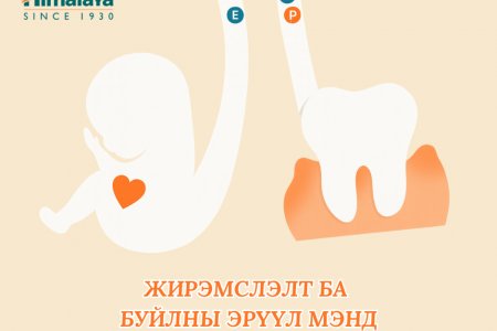 Жирэмслэлт ба буйлны эрүүл мэнд