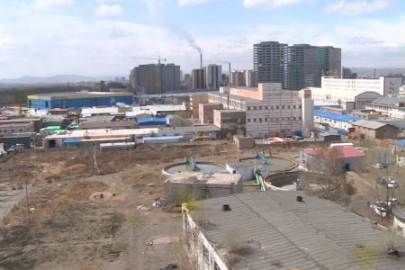 Улсын хэмжээнд бүртгэлтэй нийт 35 арьс ширний үйлдвэр байна