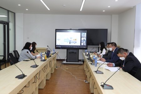 An online meeting with representatives of the ADB 