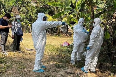 Шувууны ханиадны мутацилагдсан хувилбараар 1 хүн нас баржээ