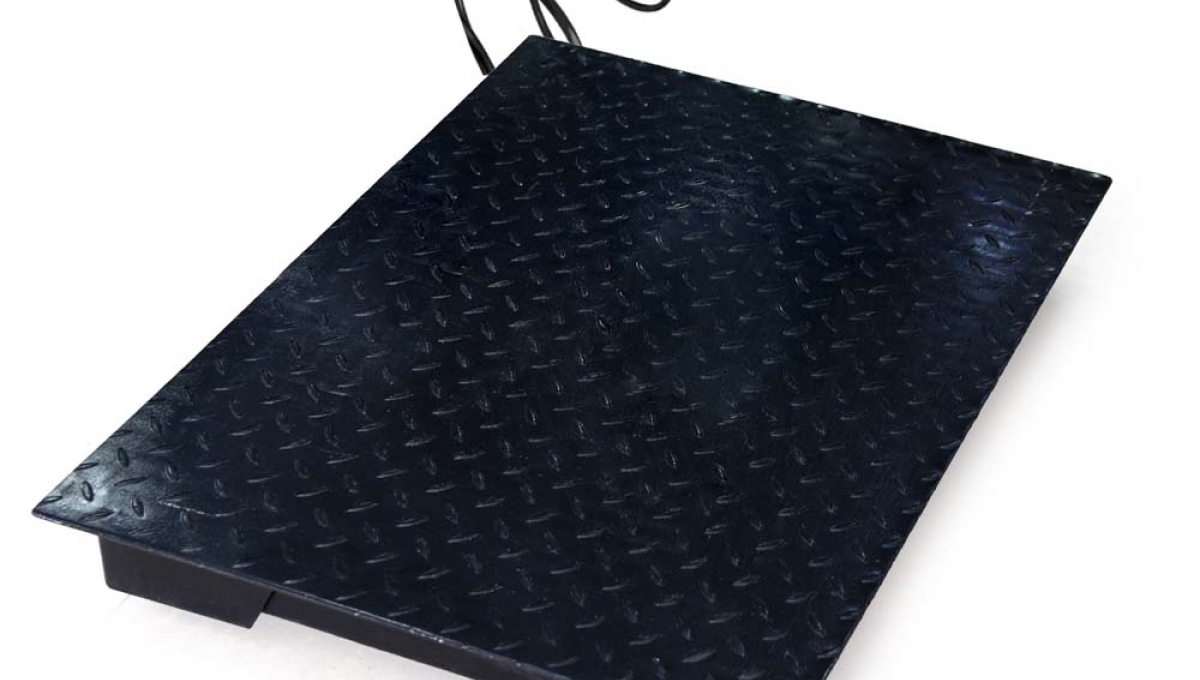 Барааны болон малын тавцант жин | том тавцант жин|махны жин|tavtsant ...