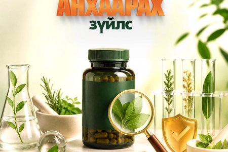 Витамин сонгохдоо анхаарах зүйл