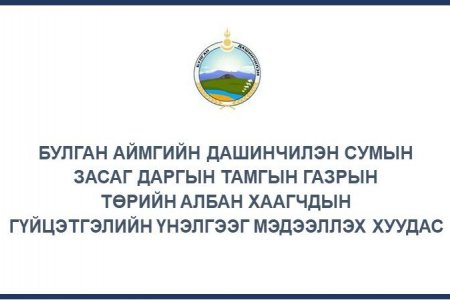 ГҮЙЦЭТГЭЛИЙН ҮНЭЛГЭЭГ МЭДЭЭЛЭХ ХУУДАС /2024 ОН/