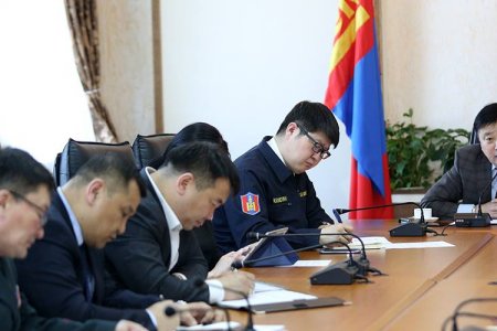 Шүлхийтэй мал оруулж ирсэн иргэн, албан тушаалтанд хариуцлага тооцно