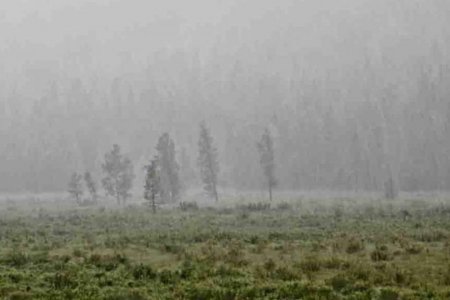 ОБЕГ: Нийт нутгаар борооших тул үер, усны аюулаас сэрэмжлүүлж байна