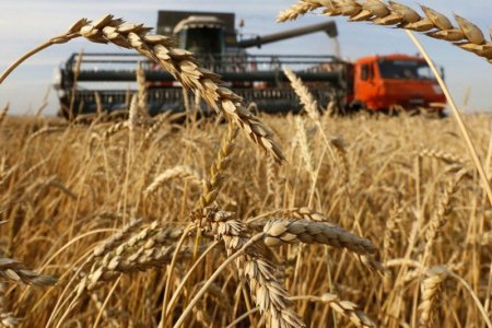 8.4 мянган тонн үрийг тариаланчдад хөнгөлөлттэй нөхцөлөөр олгоно