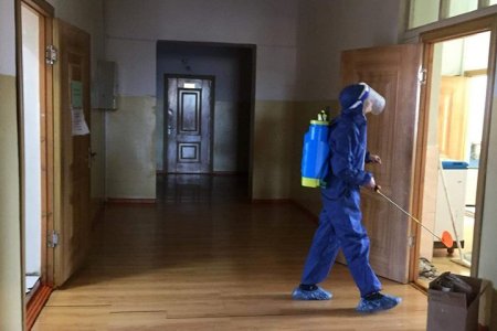 Нийслэлийн халамж асрамжийн төвүүдэд дөрөв дэх удаагийн ариутгал хийгдлээ