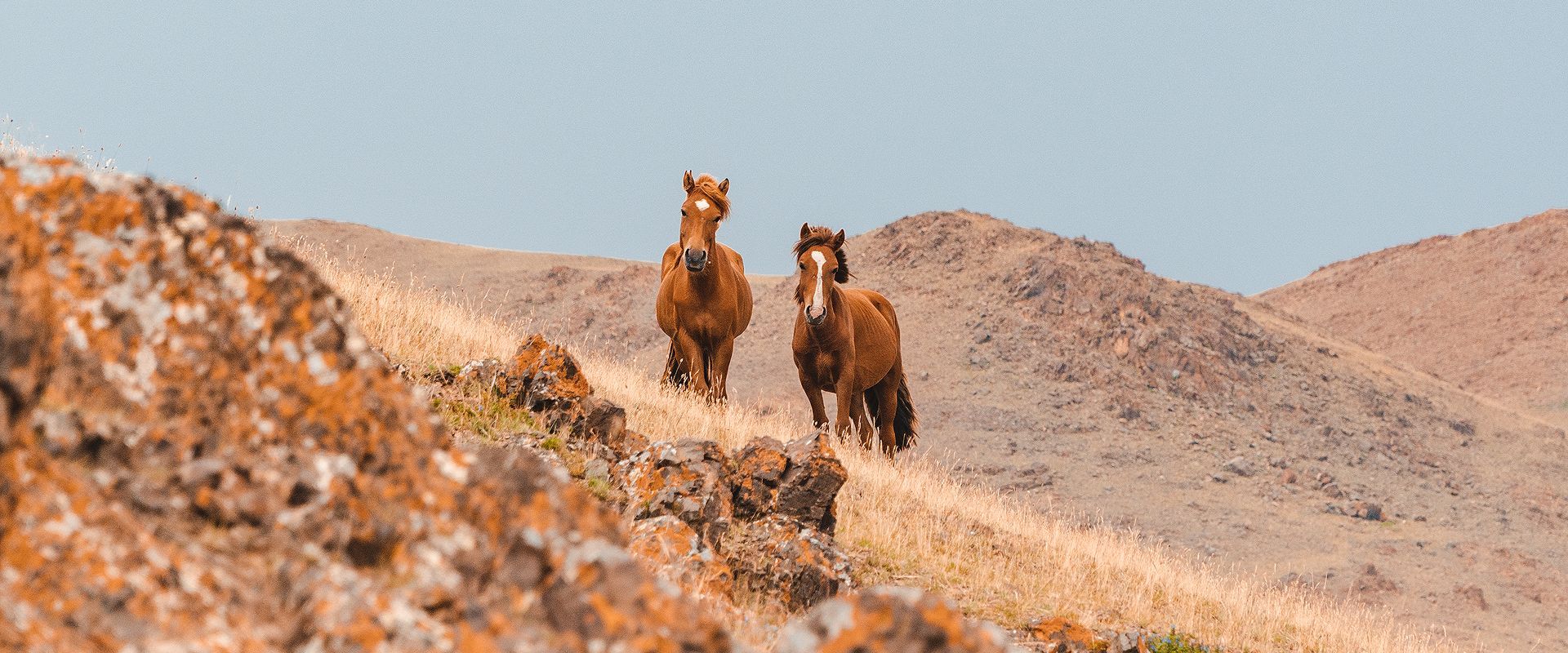 EXPERIENCE THE UNBREAKABLE RELATIONSHIP BETWEEN THE NOMADS AND THEIR FREE SPIRITED HORSES