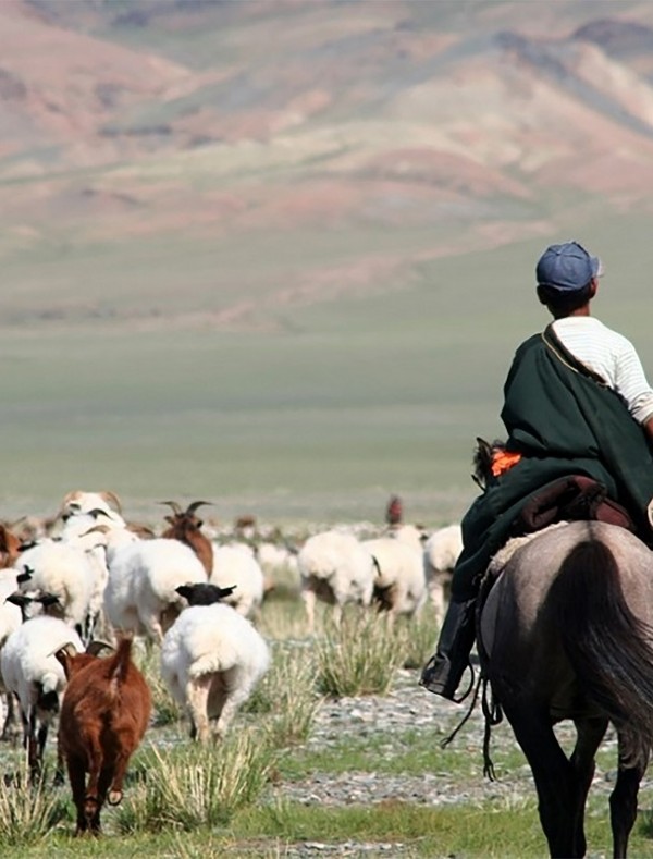 Малчдын туршлага судлах аялал 