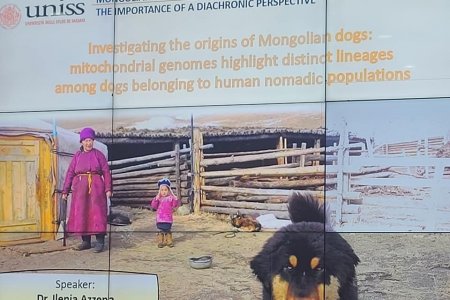 Италийн эрдэмтэн Франчeска Лүгли, Грациано Капитини нар Монголчуудын өвөлжөө, хаваржааг 17 жил судалжээ