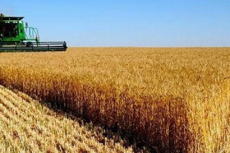 Тариалангийн бүс нутгийг тогтоолоо