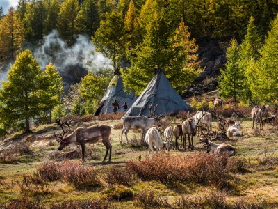 Northern & Tsaatan Family & Central Mongolia – 13 days trip