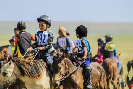 Унаач хүүхдийн даатгалын нөхөн олговрыг 20 сая хүртэл төгрөгөөр нэмэгдүүлжээ