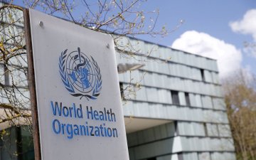 Өнгөрсөн оны 12-р сард Их Британи улсад “А” бүлгийн Стрептококк нянгийн халдварын улмаас 6 хүүхэд нас баржээ
