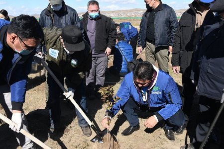 “Тэрбум мод” үндэсний хөдөлгөөн албан ёсоор эхэллээ