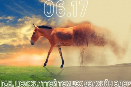 “Цөлжилттэй тэмцэх дэлхийн өдөр“ тохиож байна