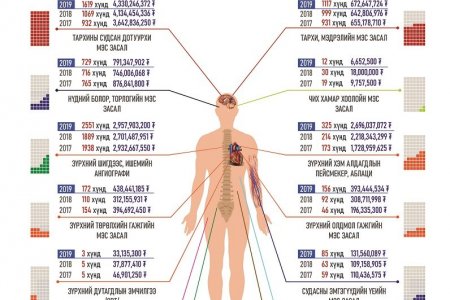 УГТЭ 2019 онд өндөр өртөгтэй тусламж үйлчилгээг 8145 хүнд үзүүллээ