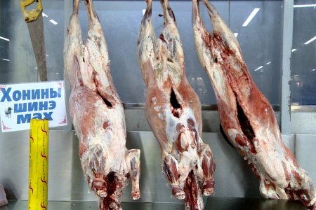 Махны үнэ огцом нэмэгдэж байгаа нь тэжээлийн ургамлын үнэ нэмэгдсэнтэй холбоотой