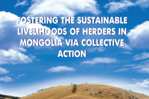 Fostering the sustainable livelihoods of herderd in Mongolia via collective action