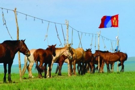 НИЙТ УЯАЧ, УРАЛДААНЧ ХҮҮХЭД, ЭЦЭГ ЭХ, ИРГЭДЭД ЗОРИУЛСАН ХУРДАН МОРЬ УРАЛДААНЧ ХҮҮХДИЙН АЮУЛГҮЙ БАЙДЛЫГ ХАНГАХ ТУХАЙ ЗӨВЛӨМЖ