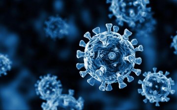 “Ковид-19”-ийн халдварын 575 тохиолдол шинээр бүртгэгдлээ